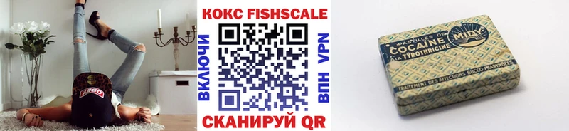 Cocaine Fish Scale как найти закладки Подпорожье