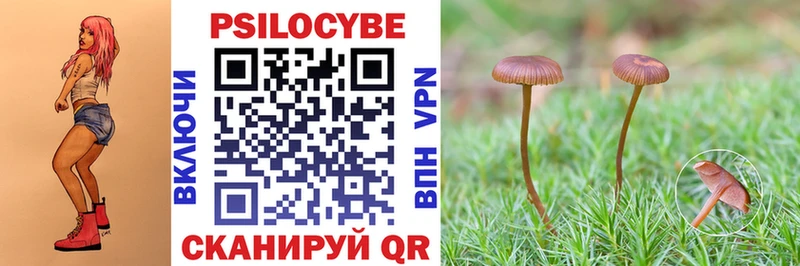 Галлюциногенные грибы Psilocybine cubensis  Подпорожье 